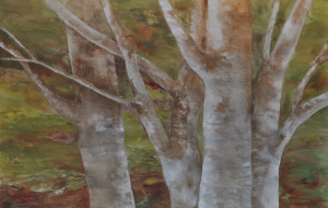 SMALL Can't See the Trees For the Forest