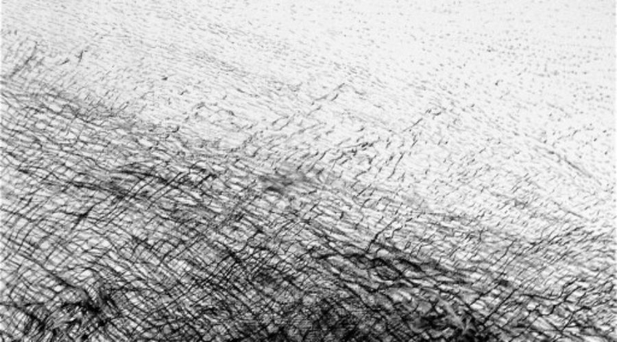 September 2011: Black & White