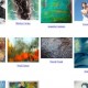 Online Exhibits